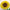 Sunflower Sea Glass Art Kit